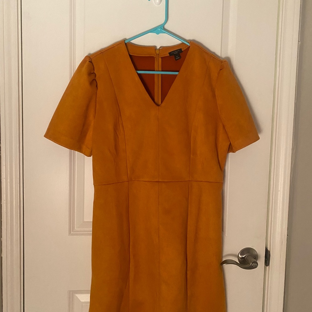 Ann Taylor 12 Petite Dress
